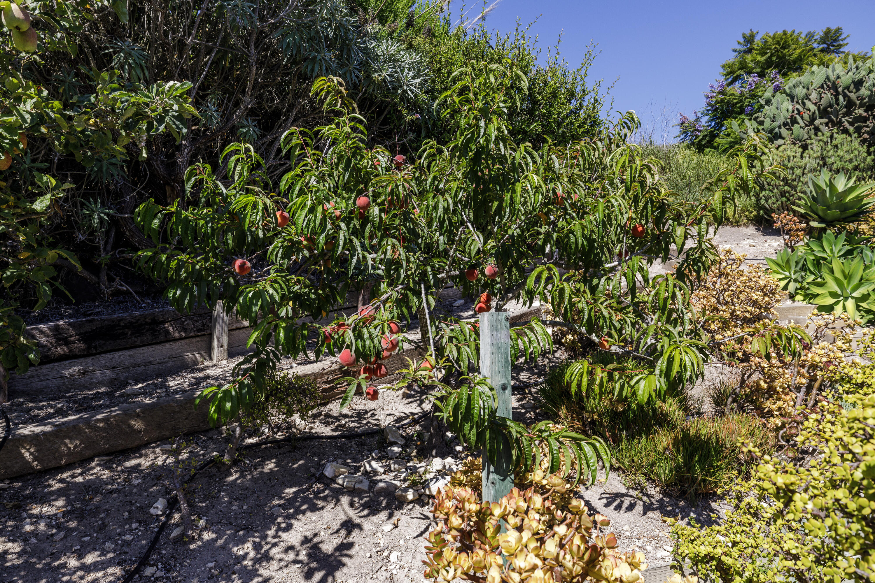 425 Fellowship Road Santa Barbara, CA 93109 - Photo 17 of 20