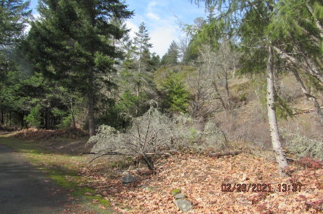 Flat Creek Rd Trail Trail, OR 97541 - Photo 1 of 16 View from road