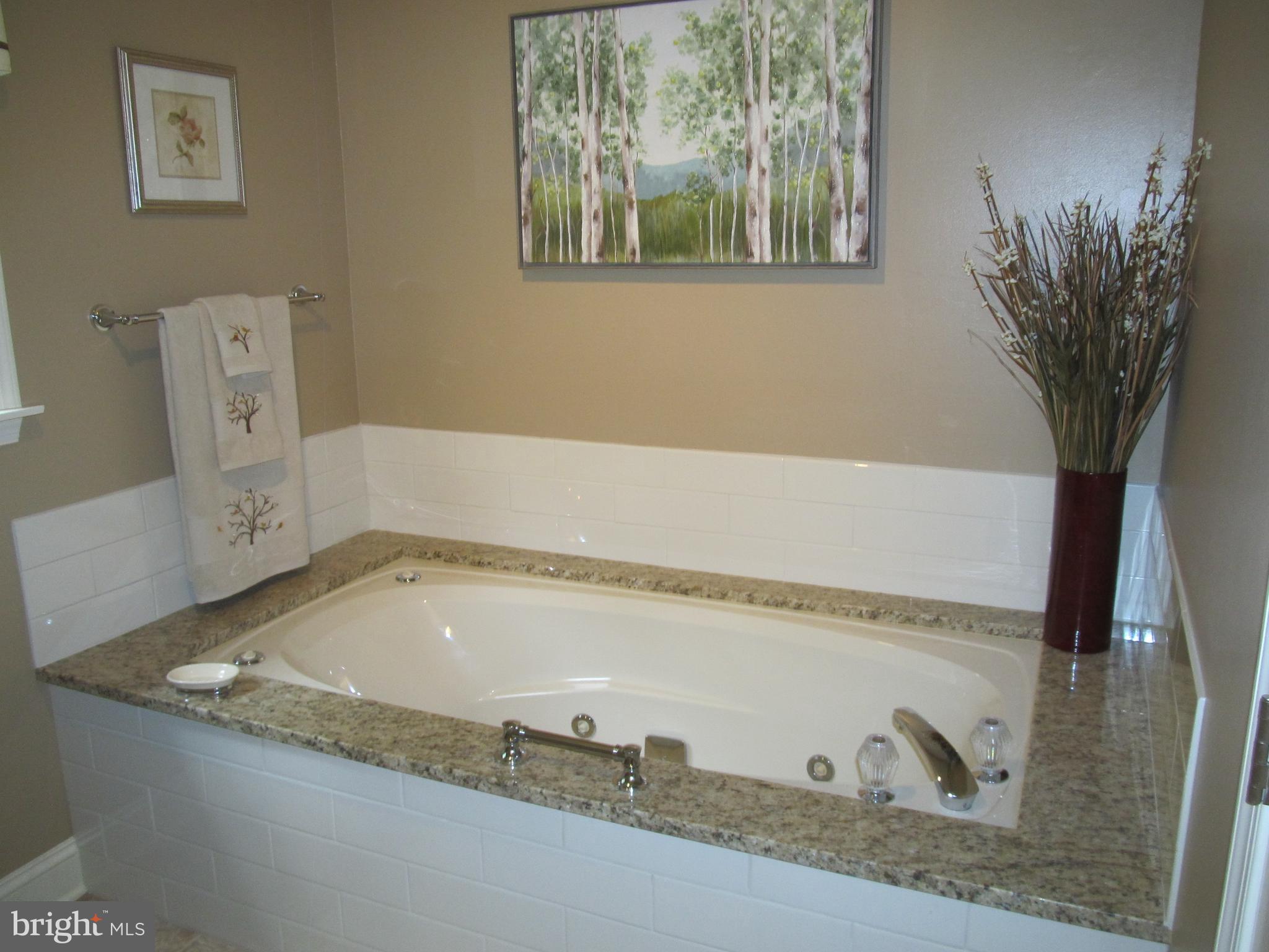 5 Ridgecliff Court Kingsville, MD 21087 - Photo 30 of 43 Need I say more?