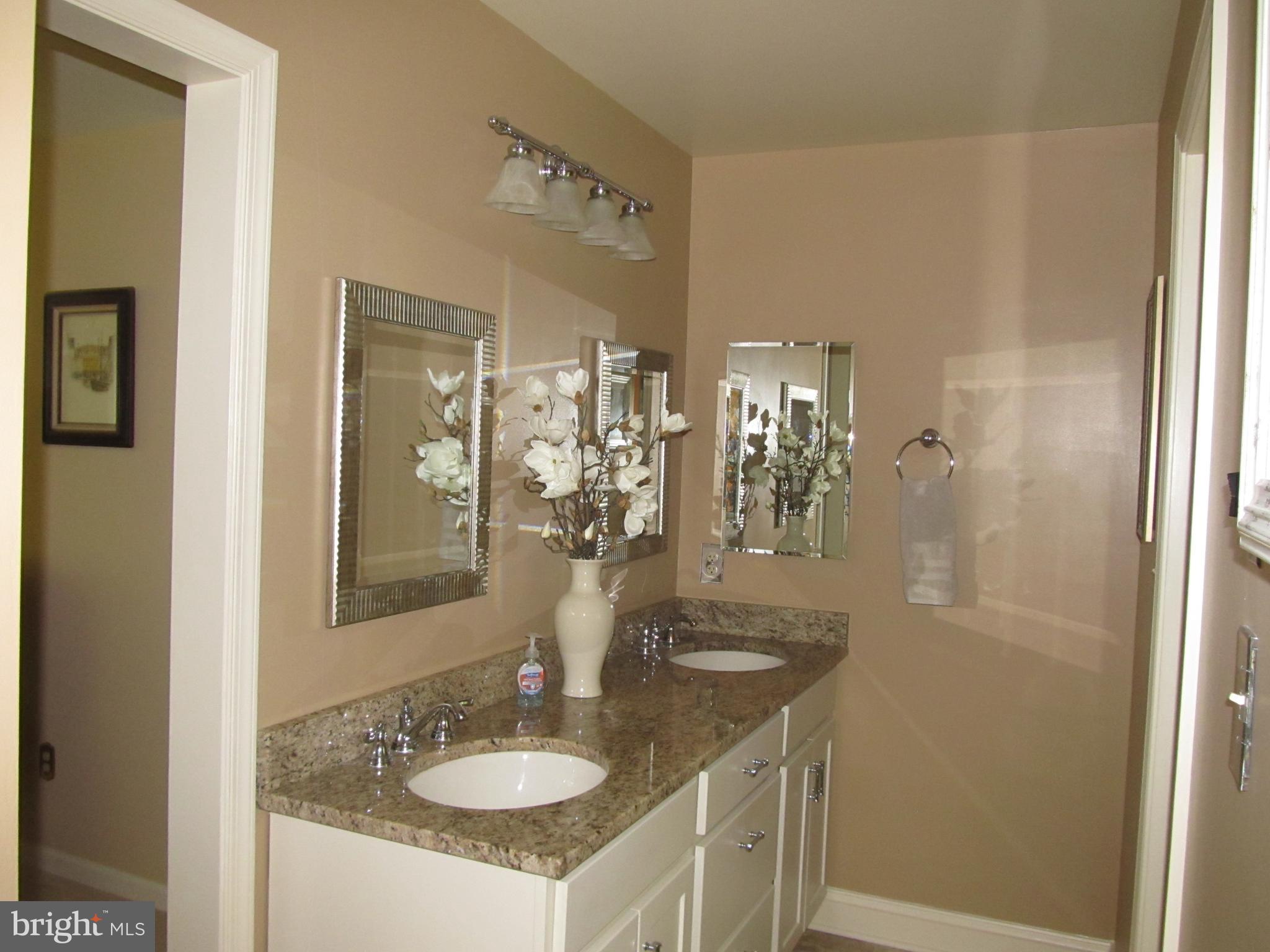 5 Ridgecliff Court Kingsville, MD 21087 - Photo 31 of 43 Primary Bath double bowl granite top