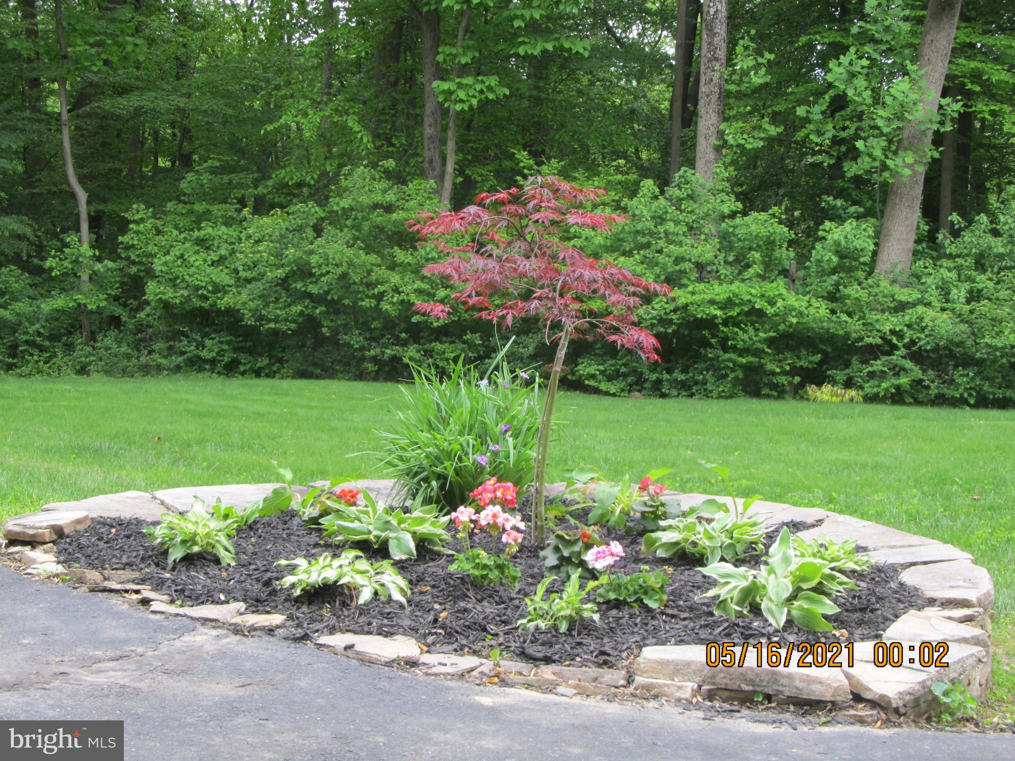 5 Ridgecliff Court Kingsville, MD 21087 - Photo 7 of 43 Landscaping to enjoy