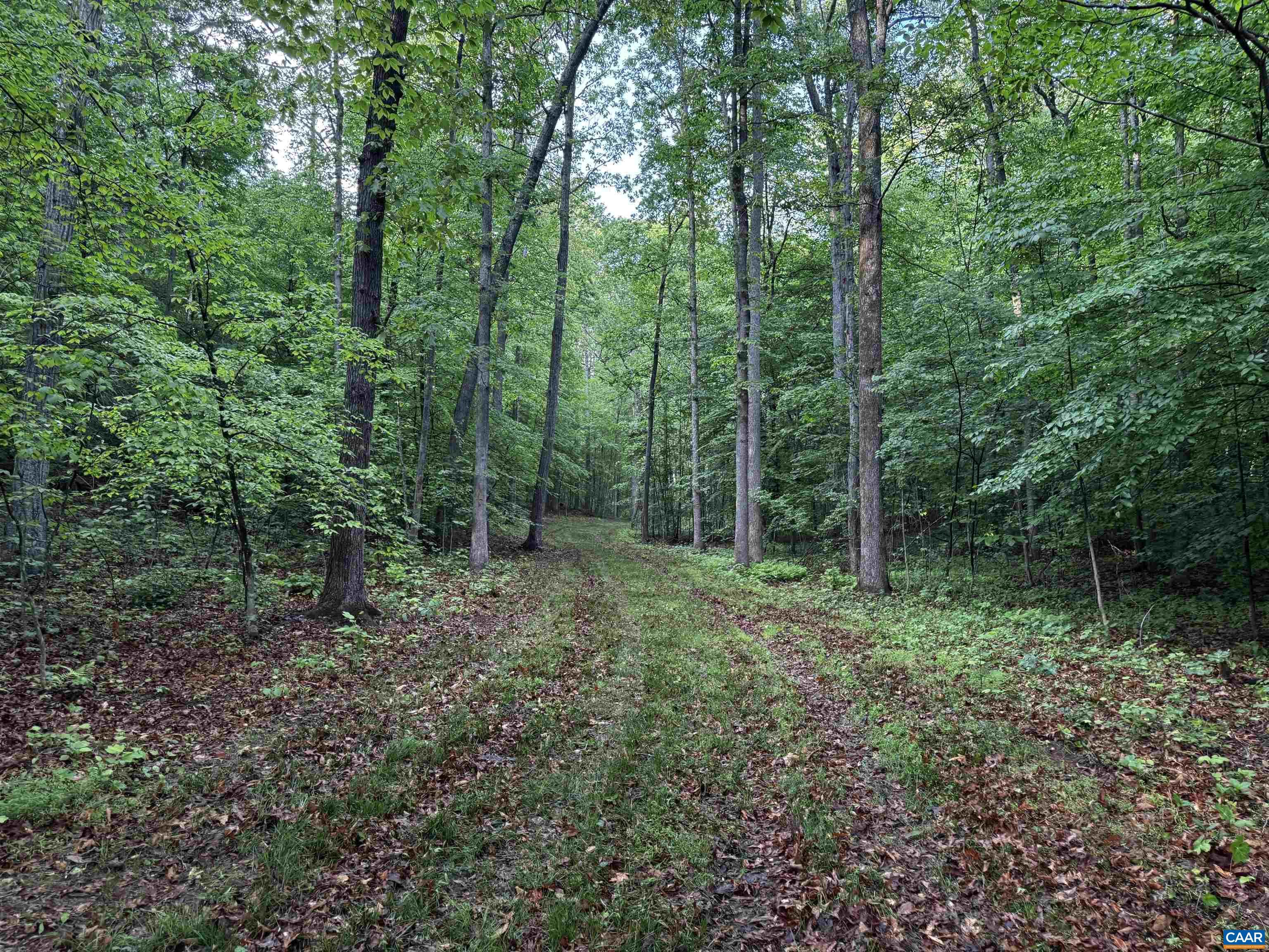 0 Fredericksburg Road Ruckersville, VA 22968 - Photo 7 of 11