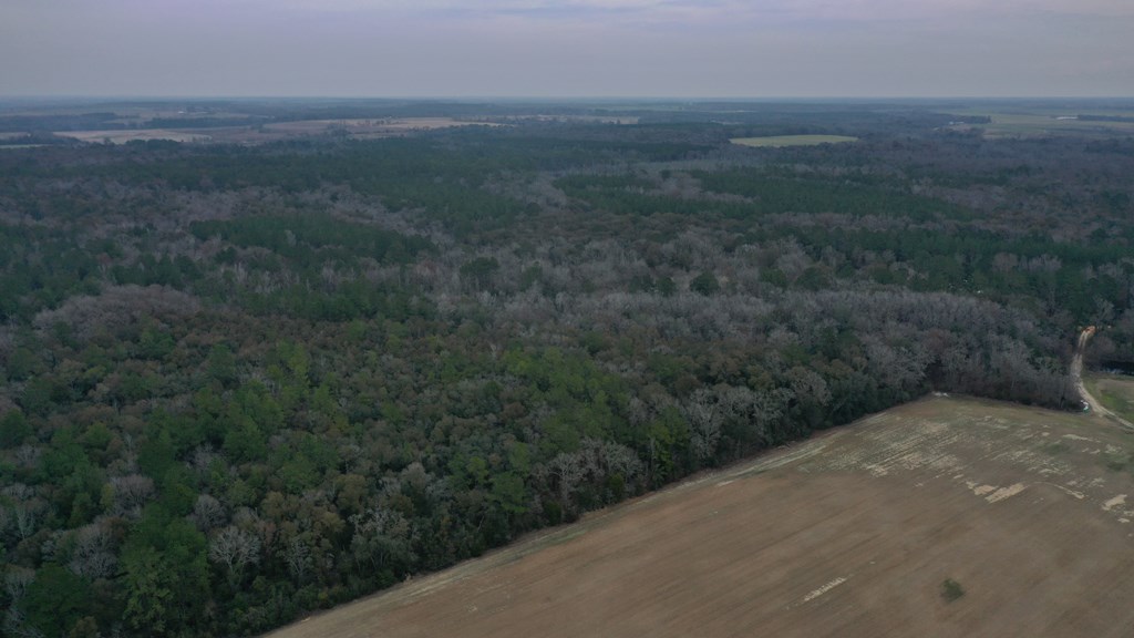 15.05 Pera Road Samson, AL 36477 - Photo 14 of 29
