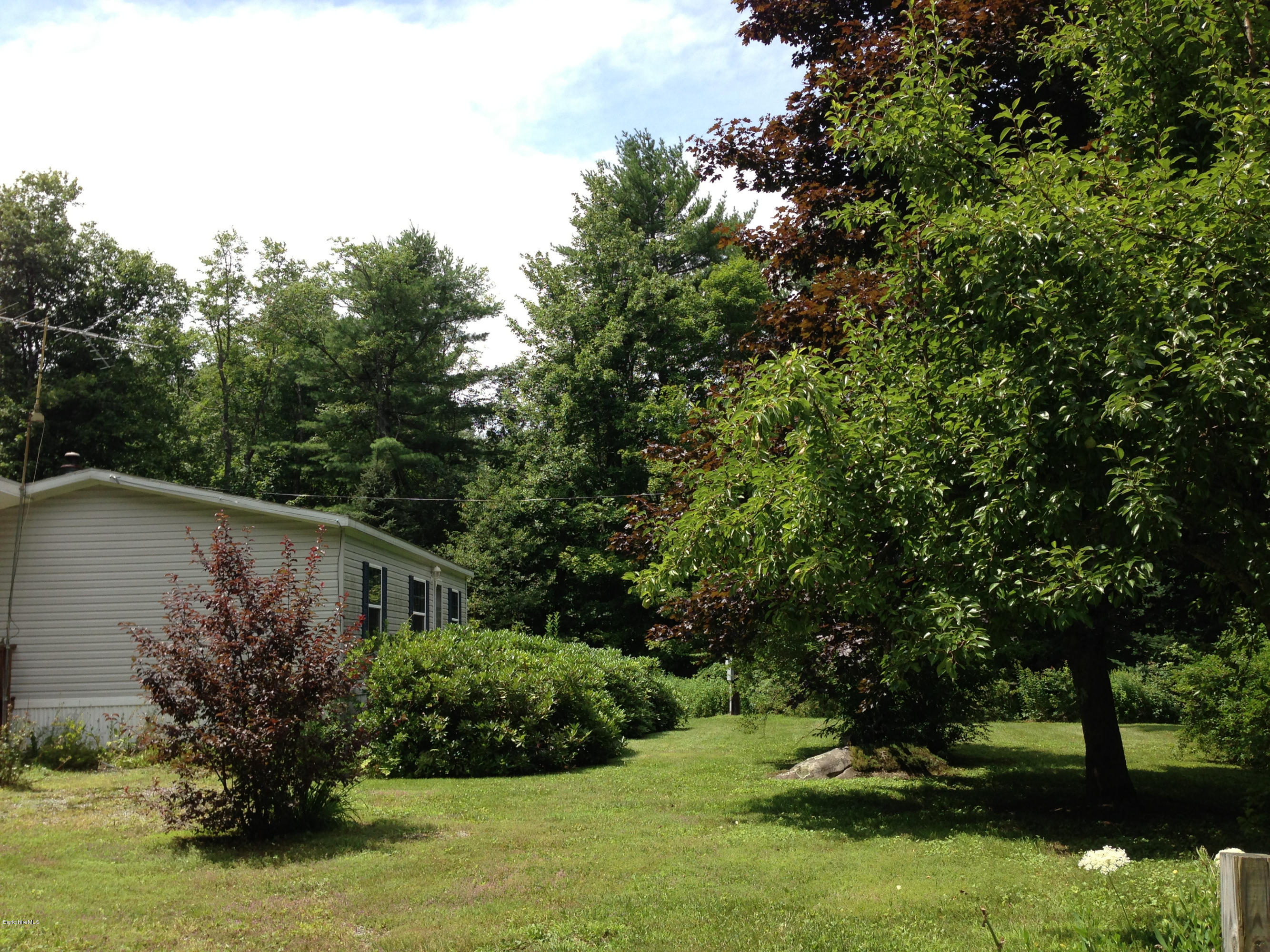 576 East Otis Road Otis, MA 01253 - Photo 4 of 13 a view of a garden with a tree
