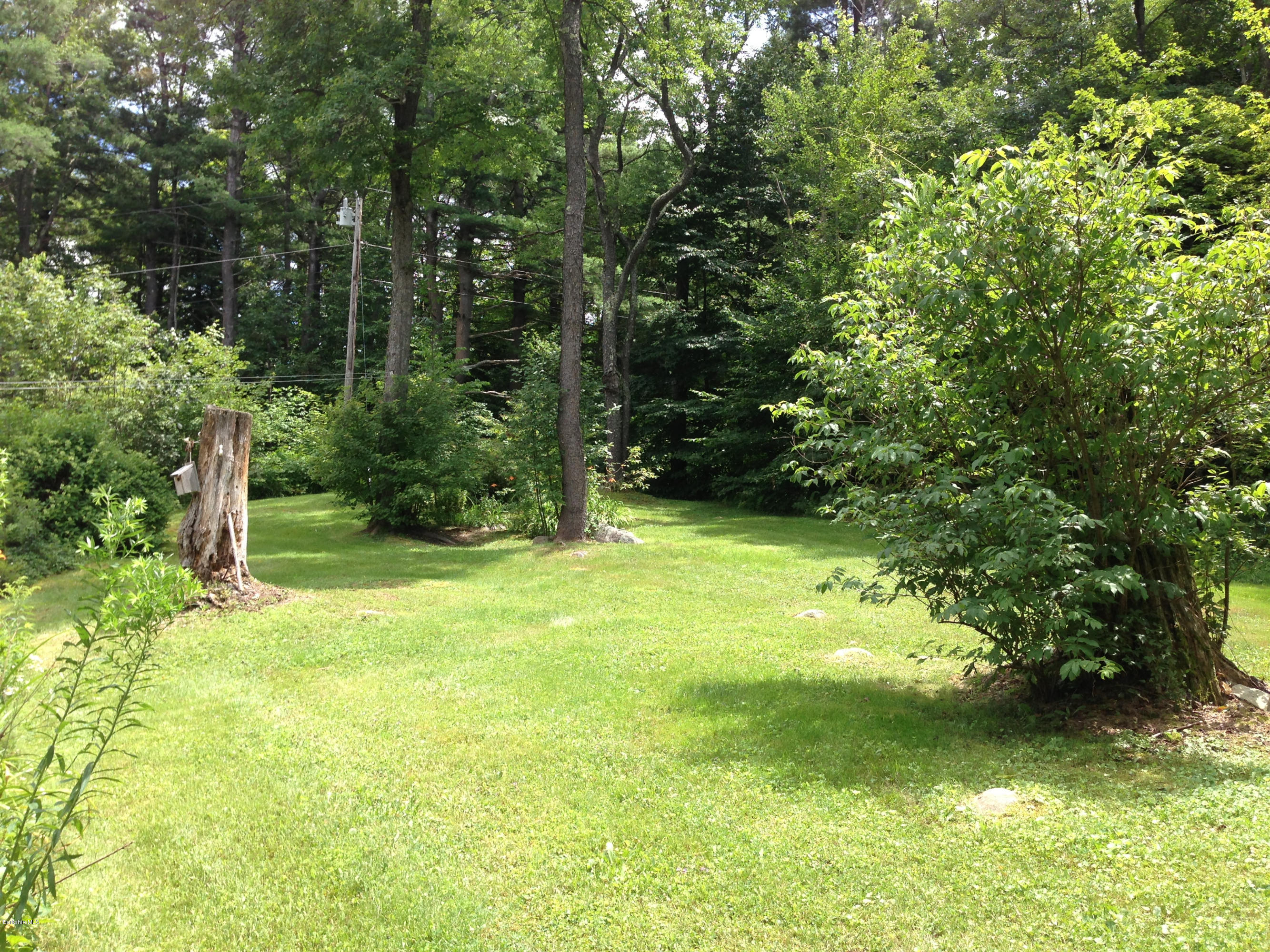 576 East Otis Road Otis, MA 01253 - Photo 6 of 13 a view of yard with green space