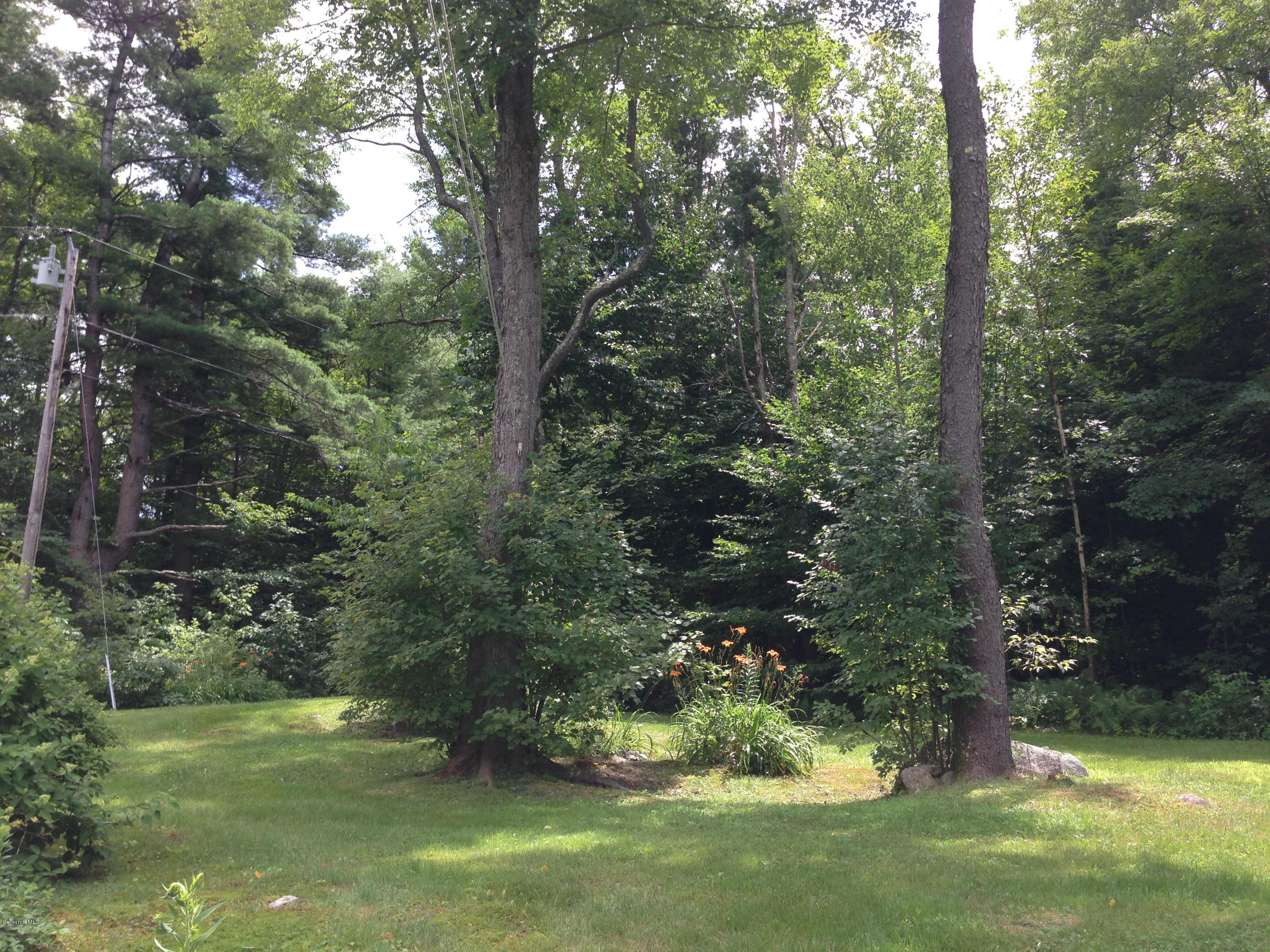 576 East Otis Road Otis, MA 01253 - Photo 7 of 13 a view of a garden
