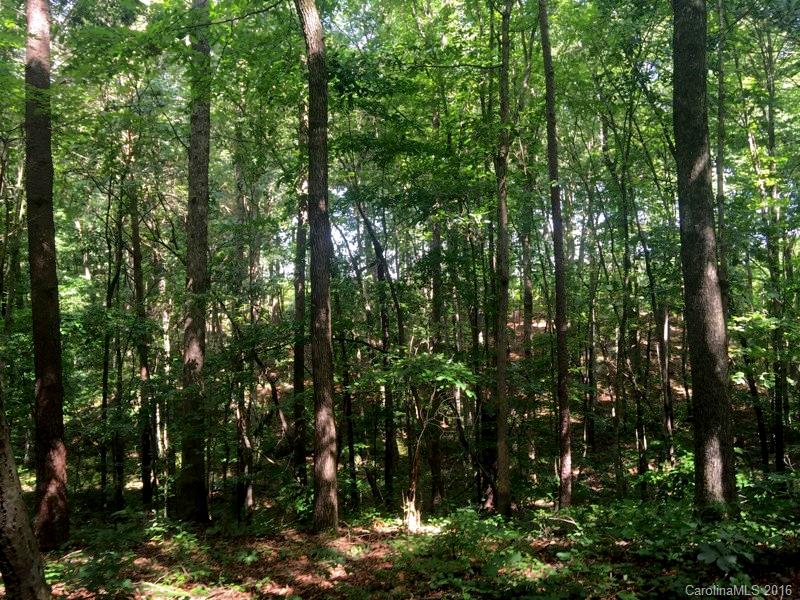 9.6-ac Eupeptic Springs Road Olin, NC 28660 - Photo 3 of 4 Gallery Image 3