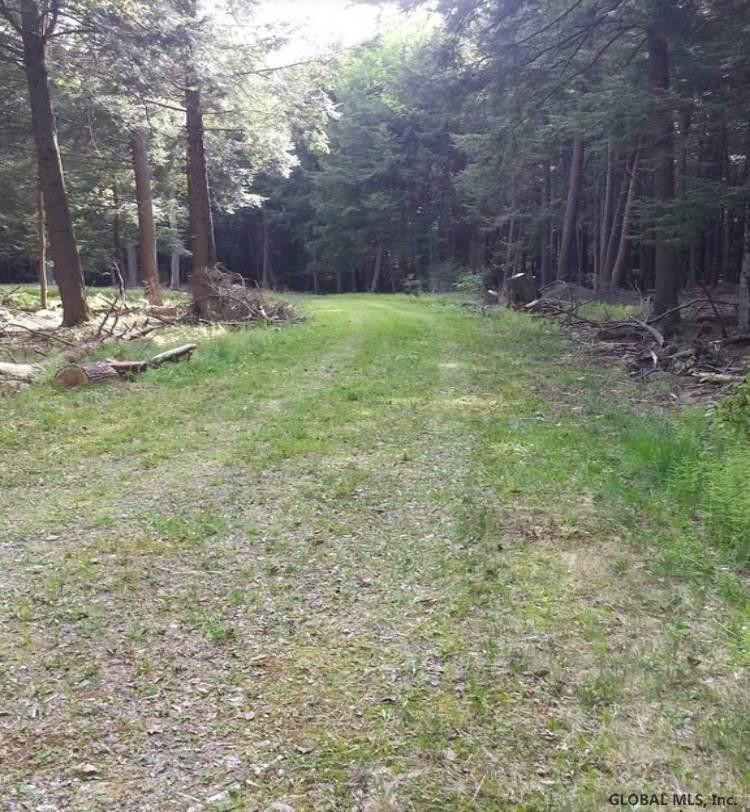 321 Fifty Six Road Poestenkill, NY 12138 - Photo 3 of 14 Photo 3