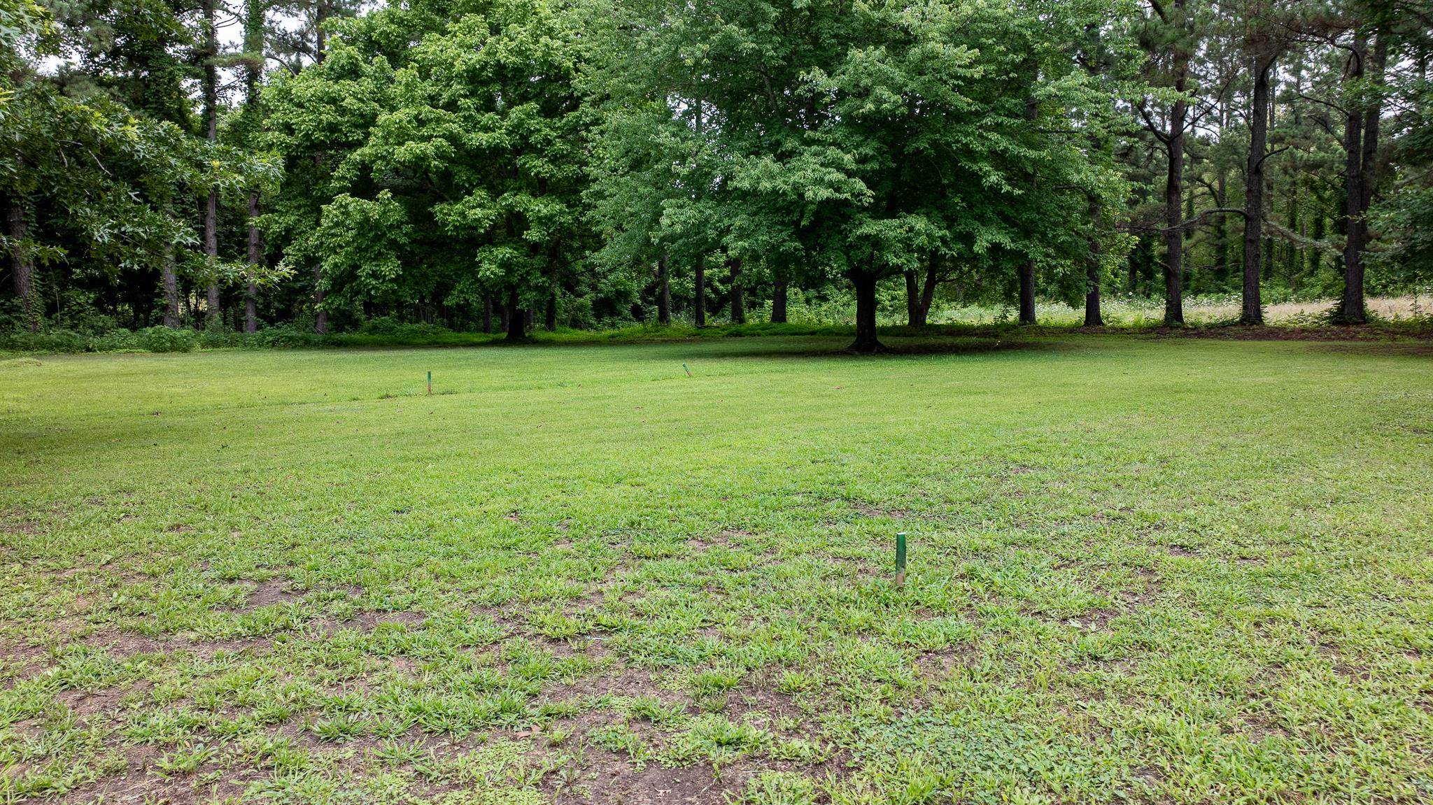 View of grassy yard