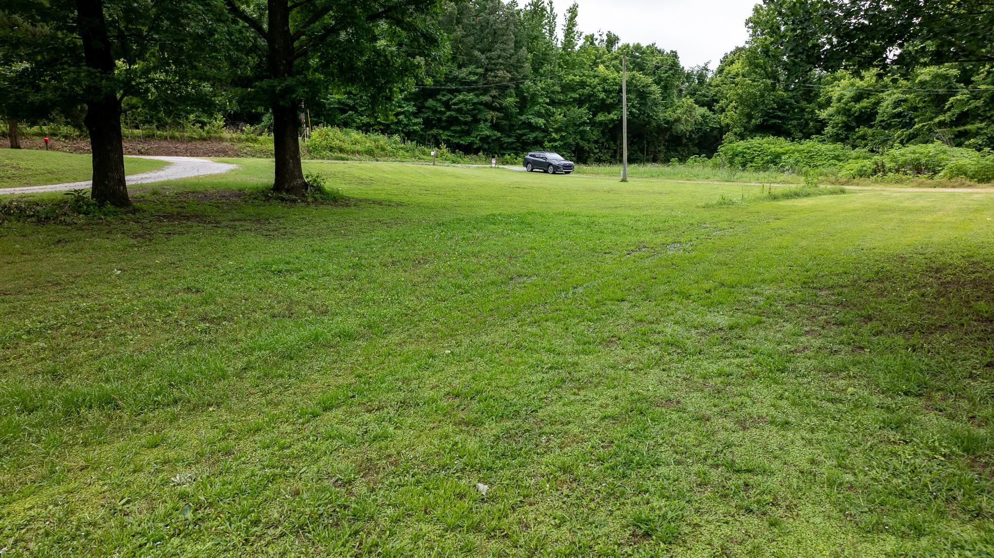 View of green lawn