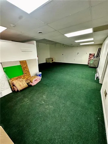 a view of a backyard with plants