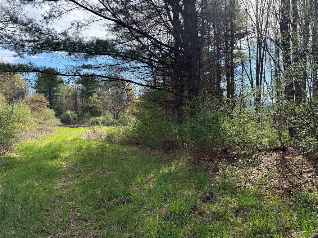 9155 Smith Road Lindley, NY 14870 - Photo 18 of 33