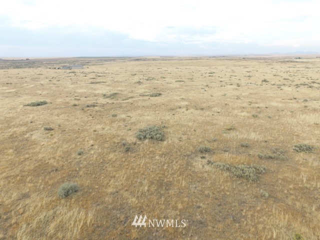 0 Sand Road Wilbur, WA 99185 - Photo 5 of 7 Gallery Image 5