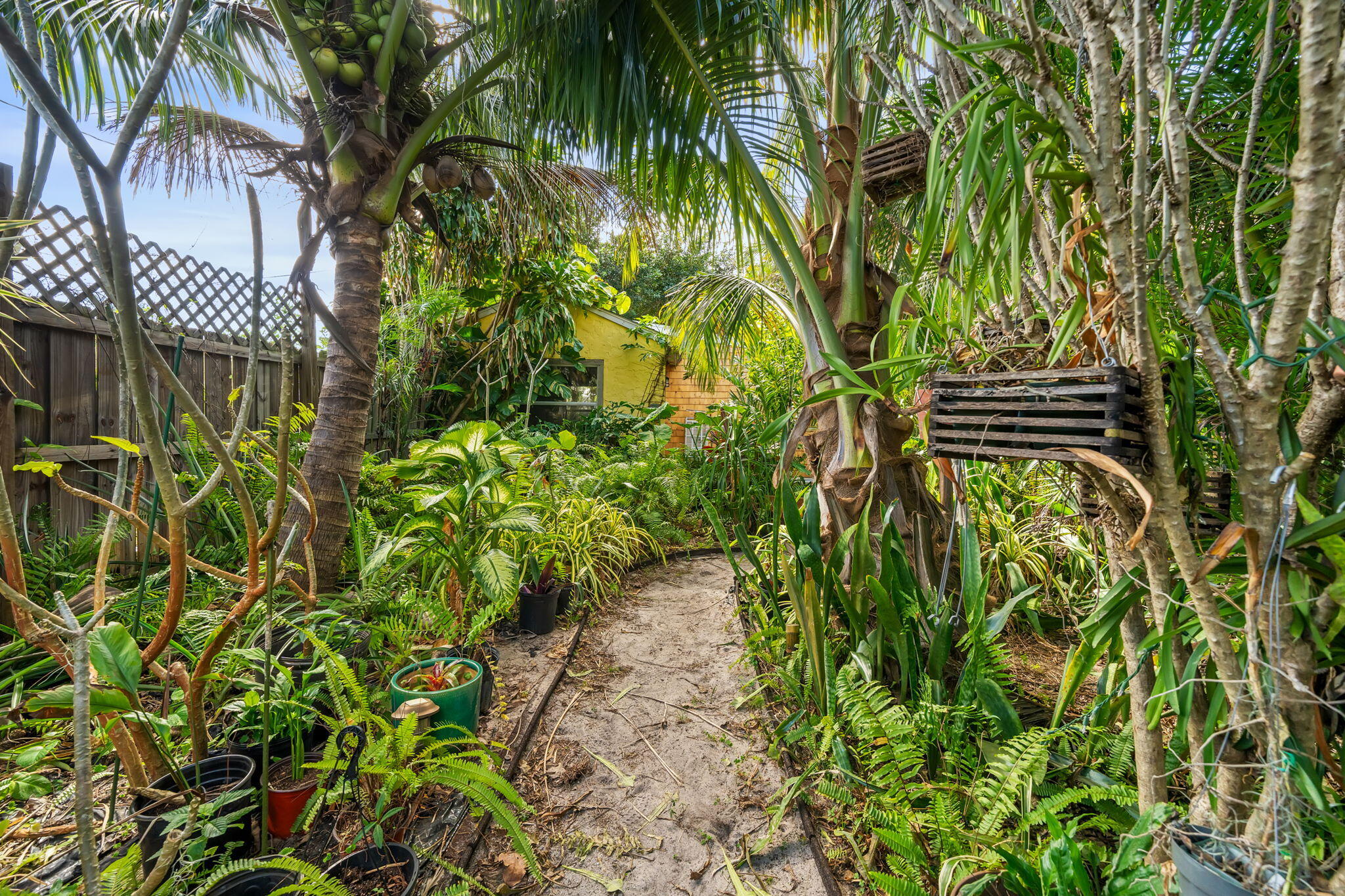 1810 High Ridge Road Lake Worth, FL 33461 - Photo 34 of 47 63-web-or-mls-DSC07729