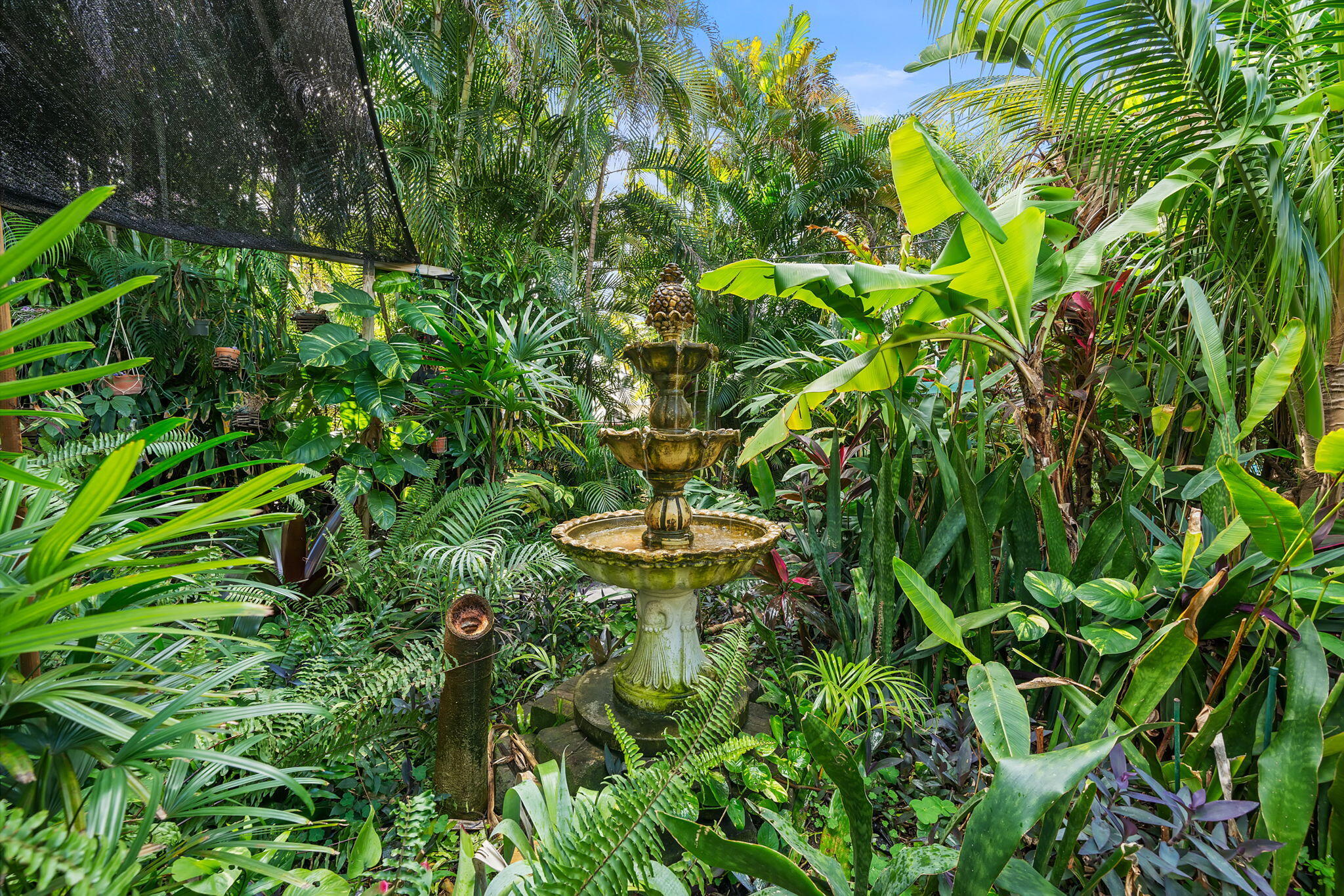 1810 High Ridge Road Lake Worth, FL 33461 - Photo 35 of 47 68-web-or-mls-DSC07755