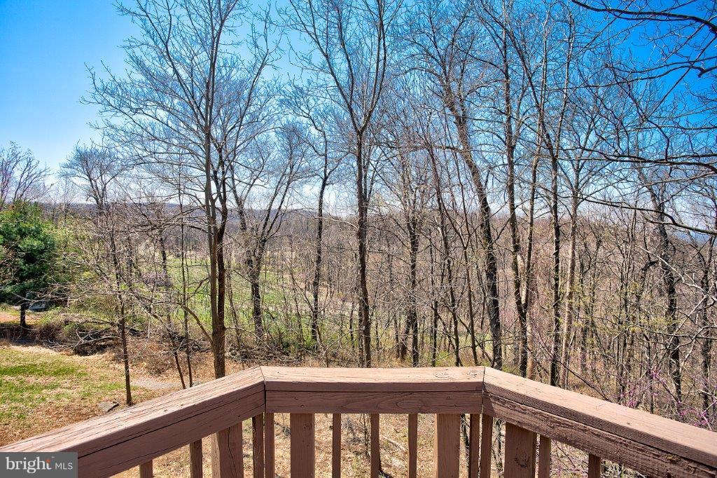 17991 Raven Rocks Road Bluemont, VA 20135 - Photo 5 of 30 a view of a balcony with trees