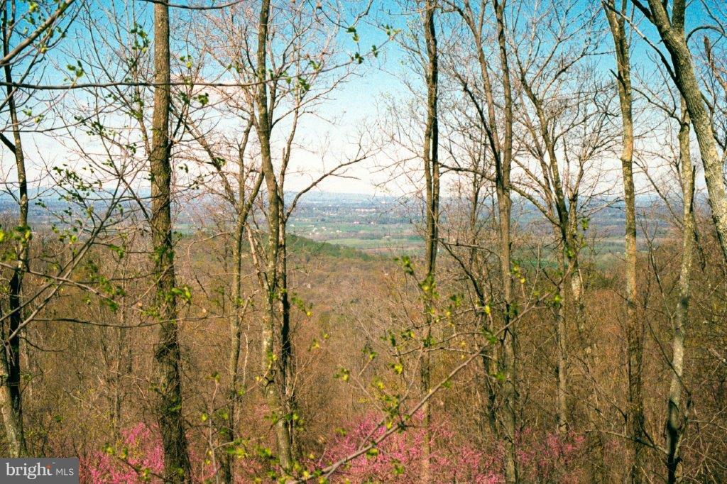 17991 Raven Rocks Road Bluemont, VA 20135 - Photo 6 of 30 a backyard of a building