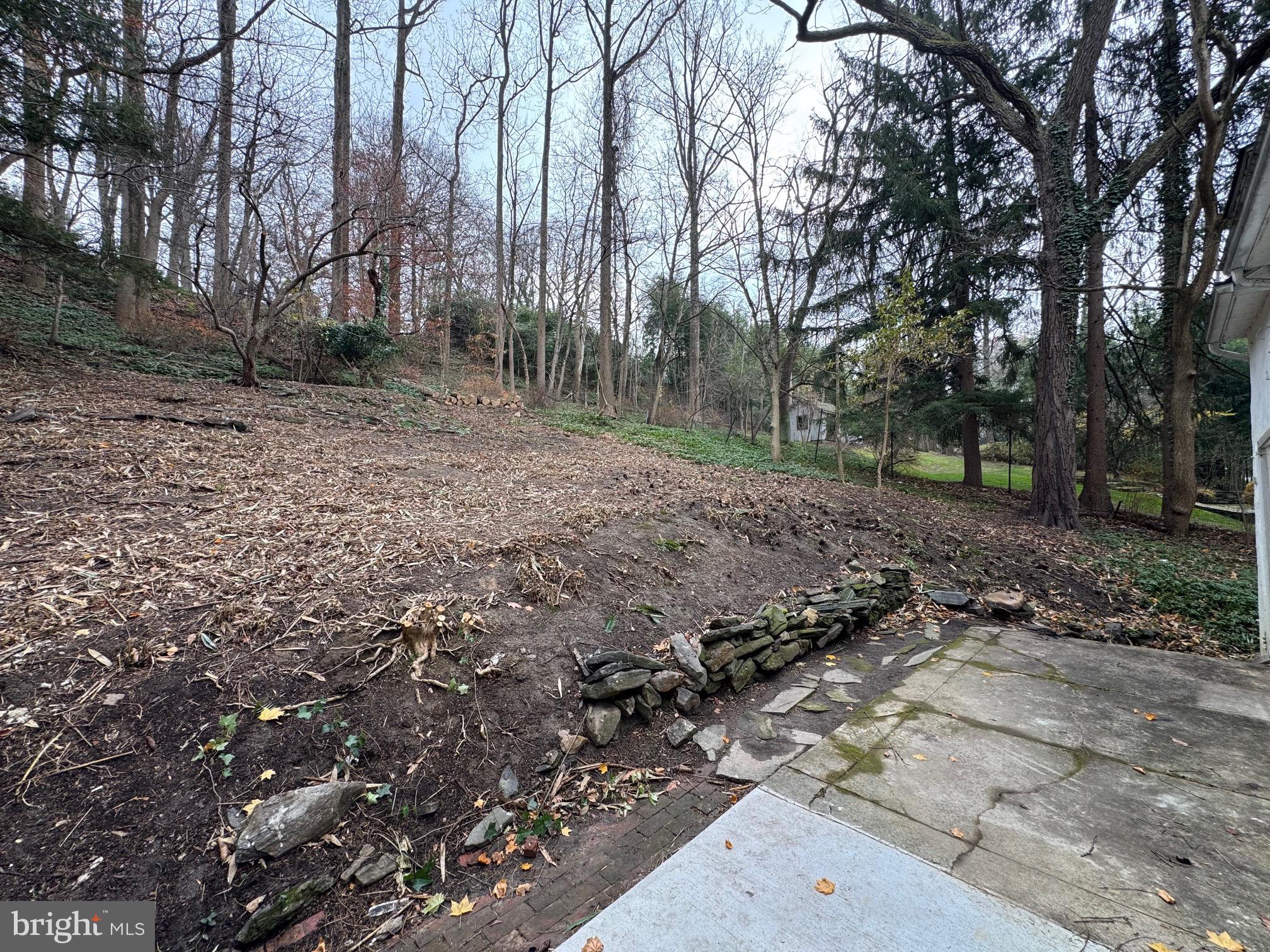 803 Mill Creek Road Gladwyne, PA 19035 - Photo 22 of 25