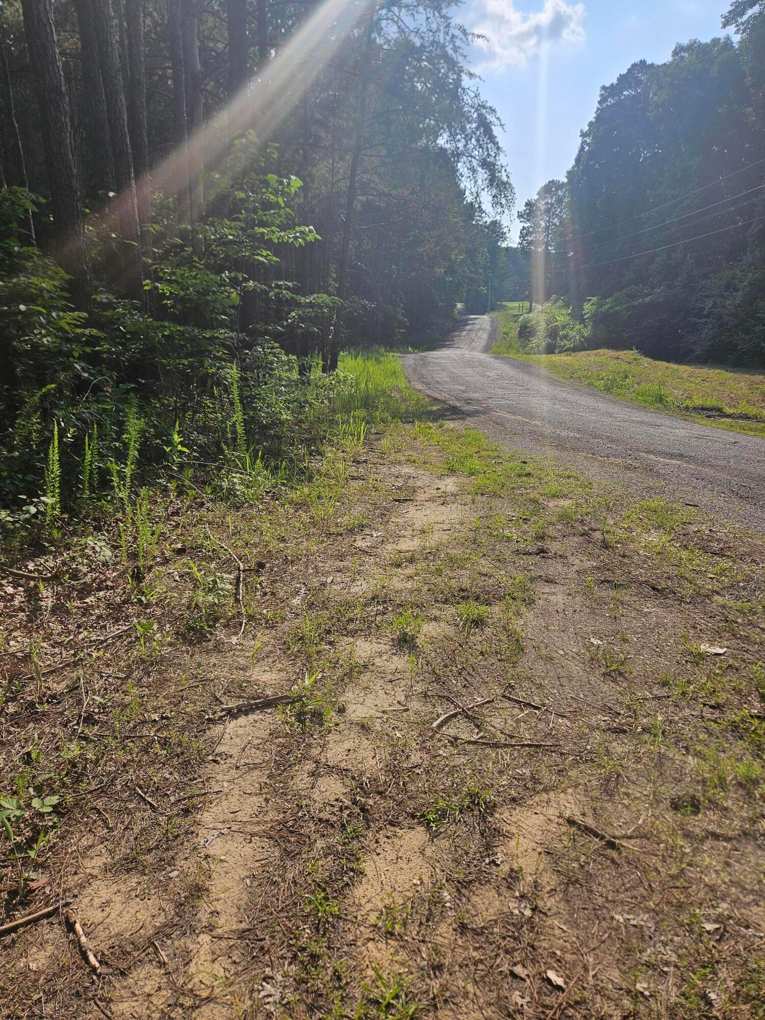 0 Co Road Arley, AL 35541 - Photo 14 of 15 Co Rd 3973