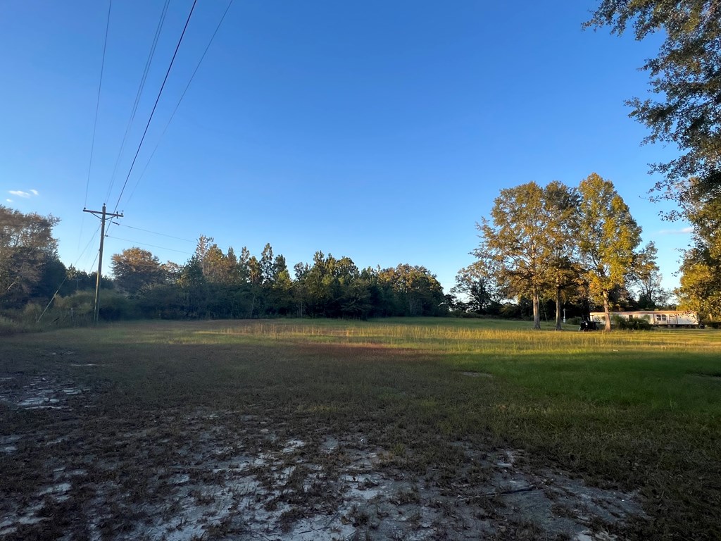 4151 Cotton Box Road Slocomb, AL 36375 - Photo 9 of 17