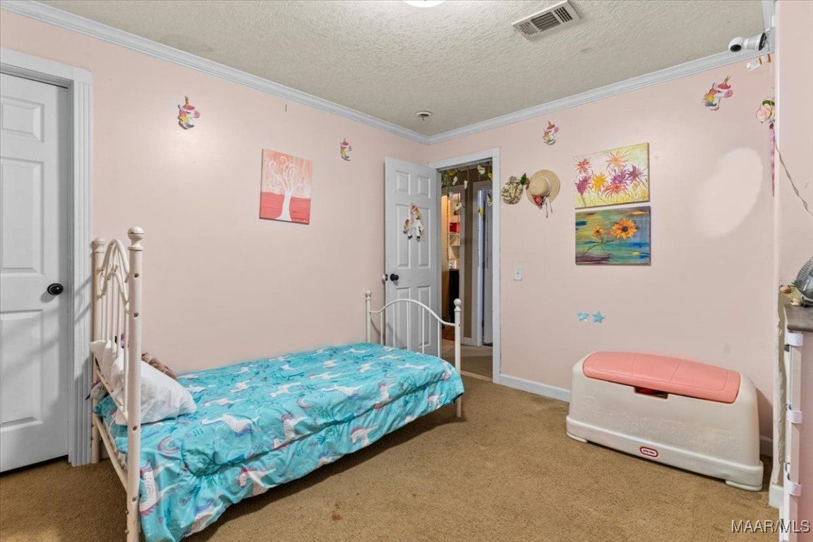30751 Holmes Langford Road Opp, AL 36467 - Photo 23 of 32 Gallery Image 23