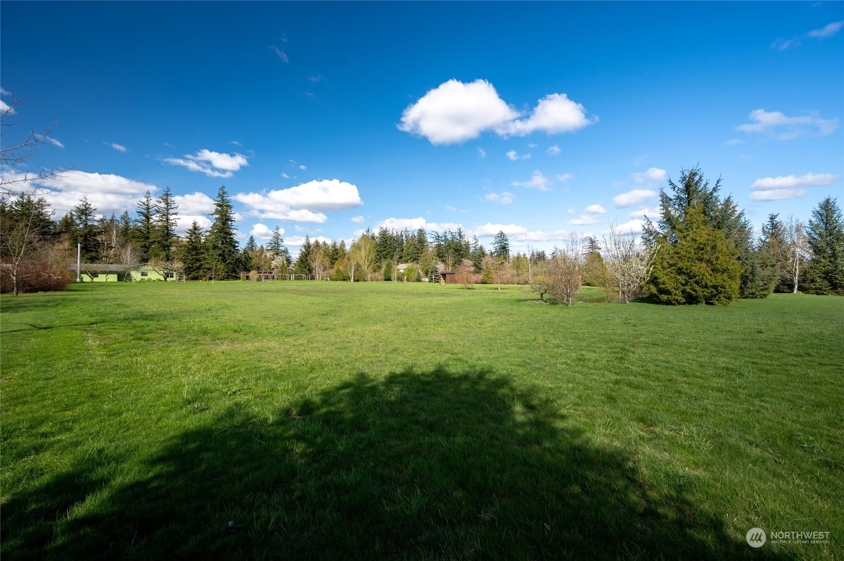 6002 Aldrich Road Bellingham, WA 98226 - Photo 23 of 30 a view of a fountain in a big yard with large trees