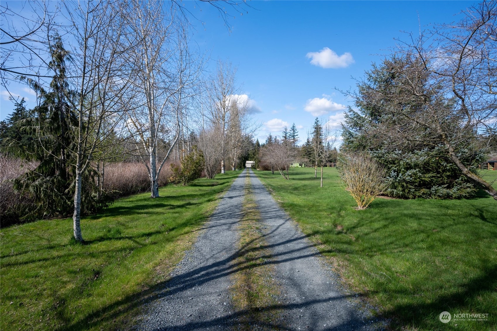 6002 Aldrich Road Bellingham, WA 98226 - Photo 26 of 30 a view of a park with large trees
