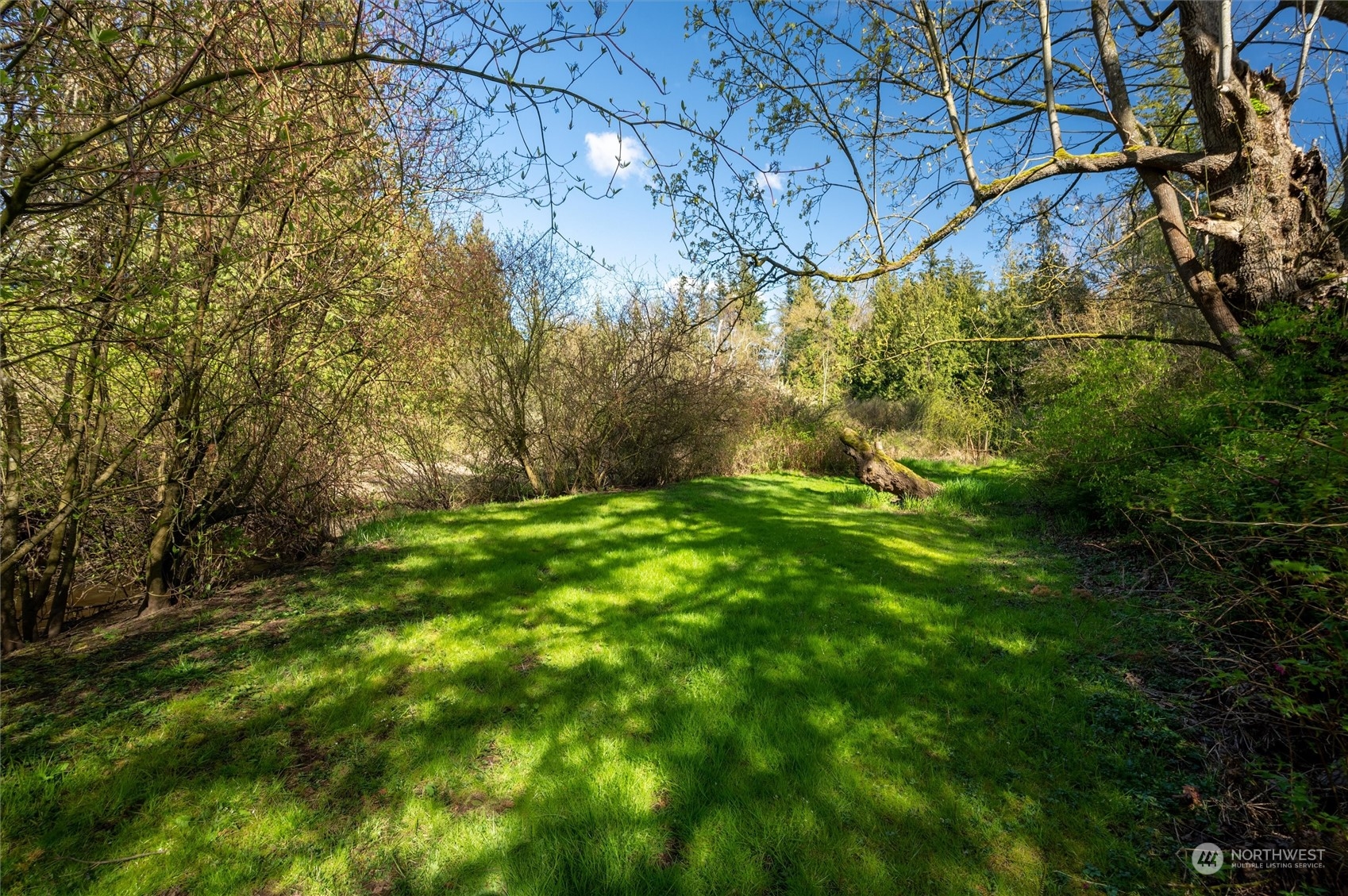 6002 Aldrich Road Bellingham, WA 98226 - Photo 29 of 30 a view of yard with green space
