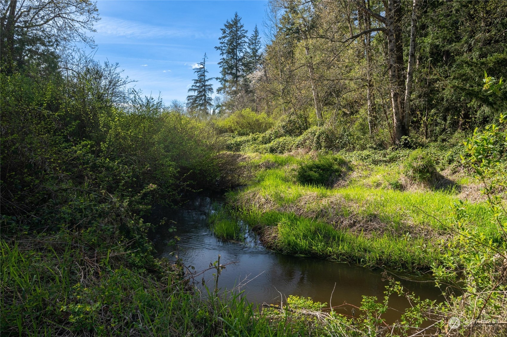 6002 Aldrich Road Bellingham, WA 98226 - Photo 30 of 30 a view of a lake with green space