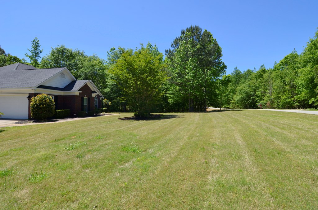 354 Quail Ridge Drive Midland, GA 31820 - Photo 3 of 29 Gallery Image 3
