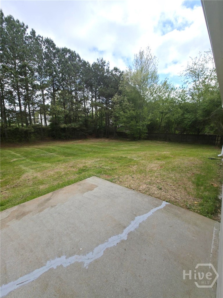 312 Lokey's Ridge Road Bethlehem, GA 30620 - Photo 20 of 24