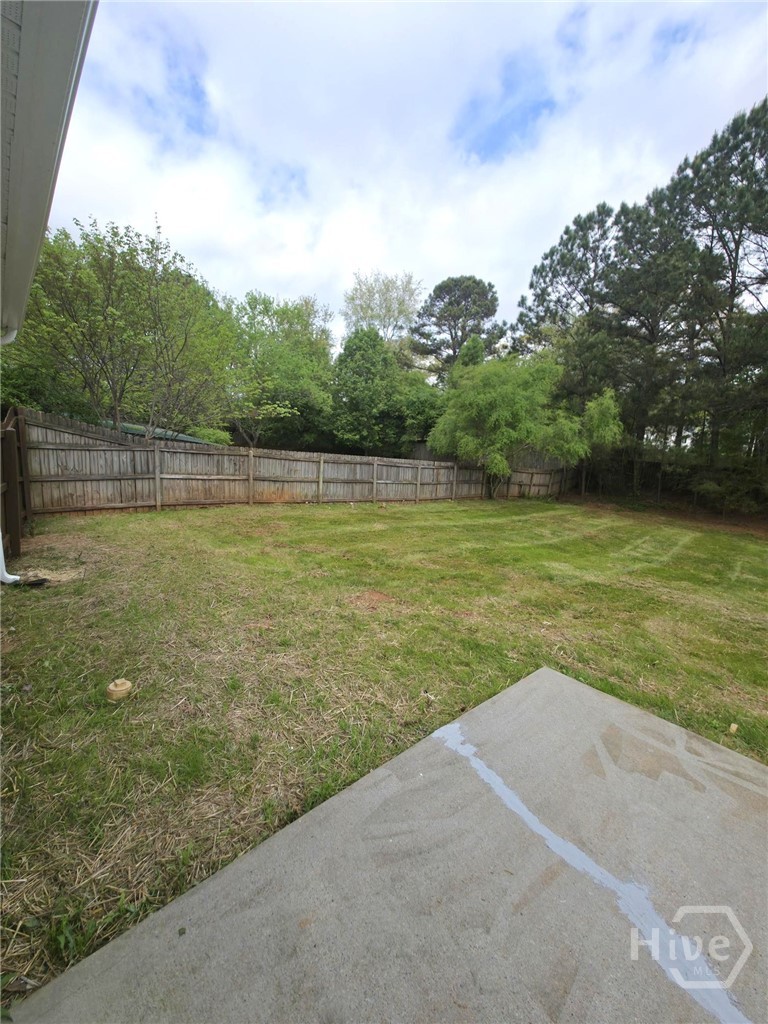 312 Lokey's Ridge Road Bethlehem, GA 30620 - Photo 21 of 24