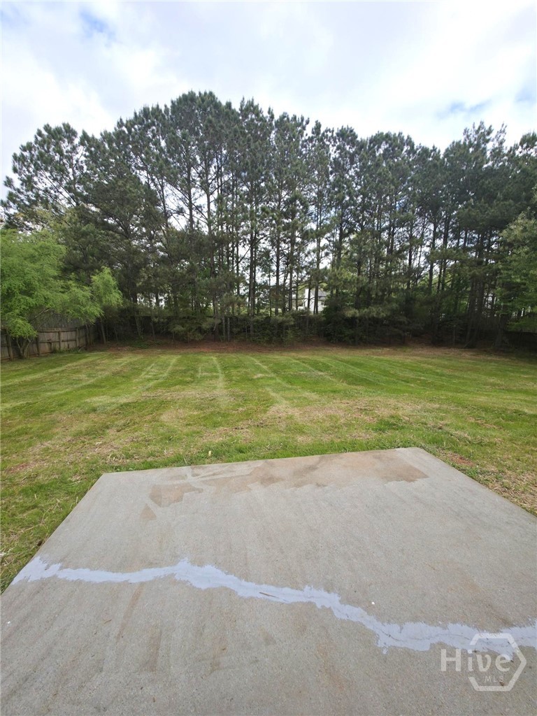312 Lokey's Ridge Road Bethlehem, GA 30620 - Photo 22 of 24