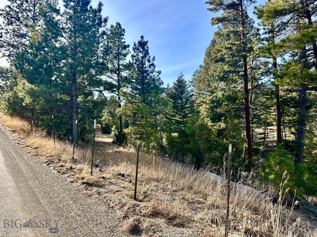 Tbd Martinez Gulch Road Clancy, MT 59634 - Photo 11 of 14 Gallery Image 11