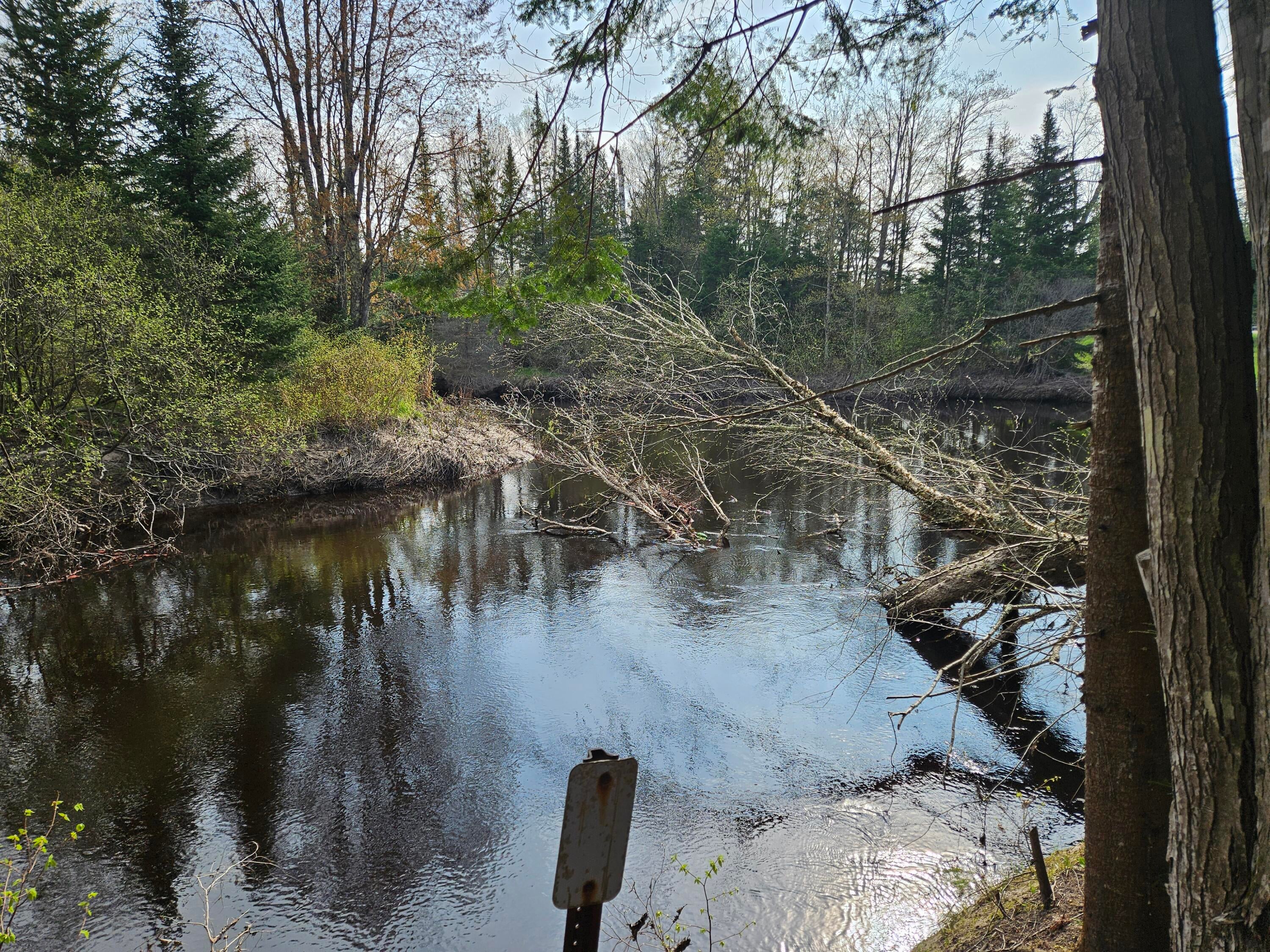 0 Ten 10 Curves Road Germfask, MI 49836 - Photo 1 of 11 Gallery Image 1
