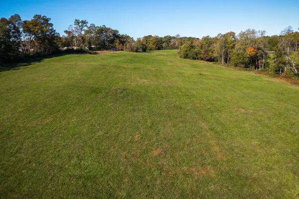 a view of a field with grass and trees