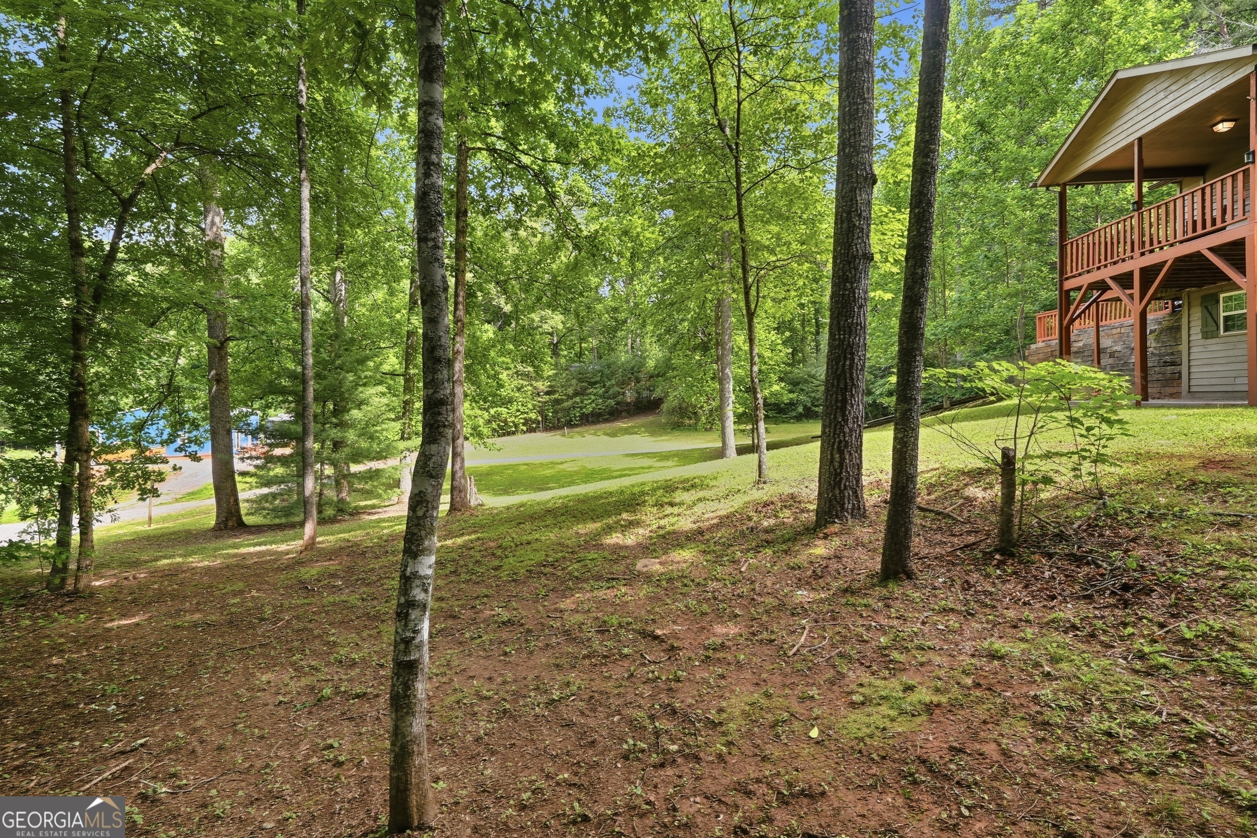 58 Brandys Way Murphy, NC 28906 - Photo 6 of 39