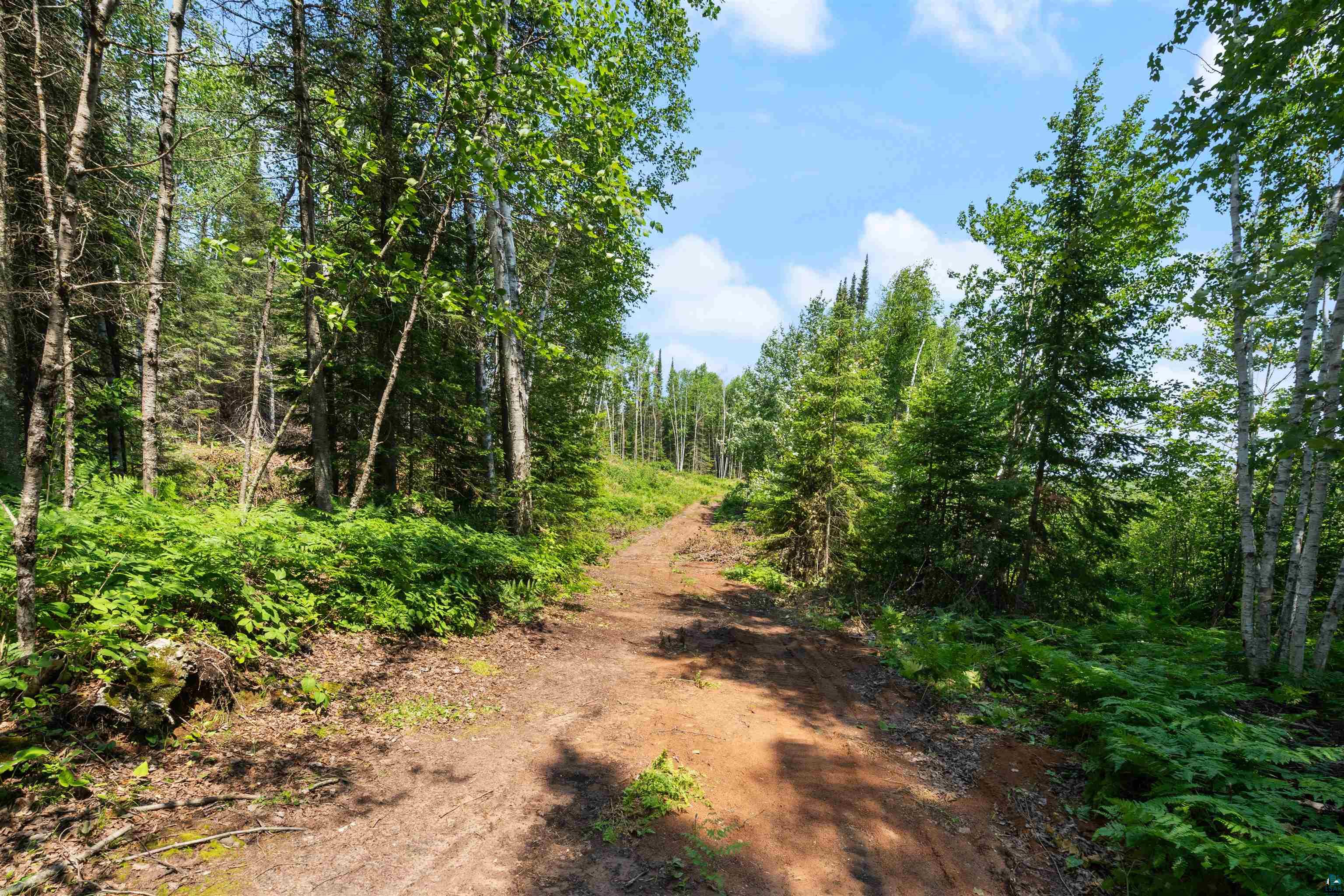 7775 Moose Lake Road Solon Springs, WI 54873 - Photo 28 of 33