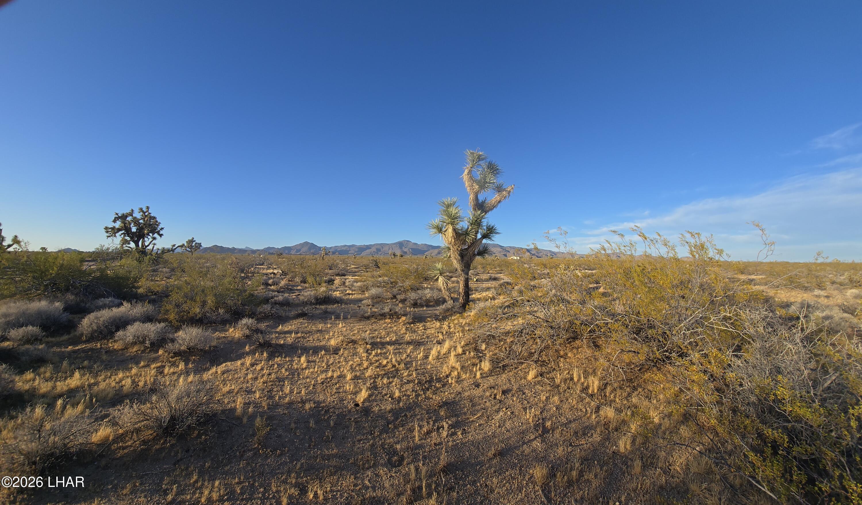 122-37-007 South John Wayne Road Yucca, AZ 86438 - Photo 17 of 21