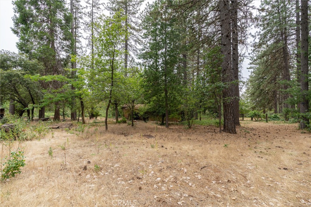15184 Siwini Road Forest Ranch, CA 95942 - Photo 67 of 75