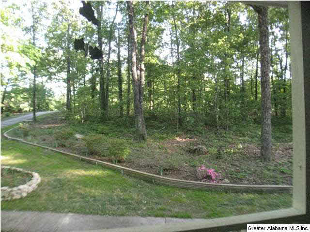 307 Chestnut Lane Alabaster, AL 35007 - Photo 3 of 25