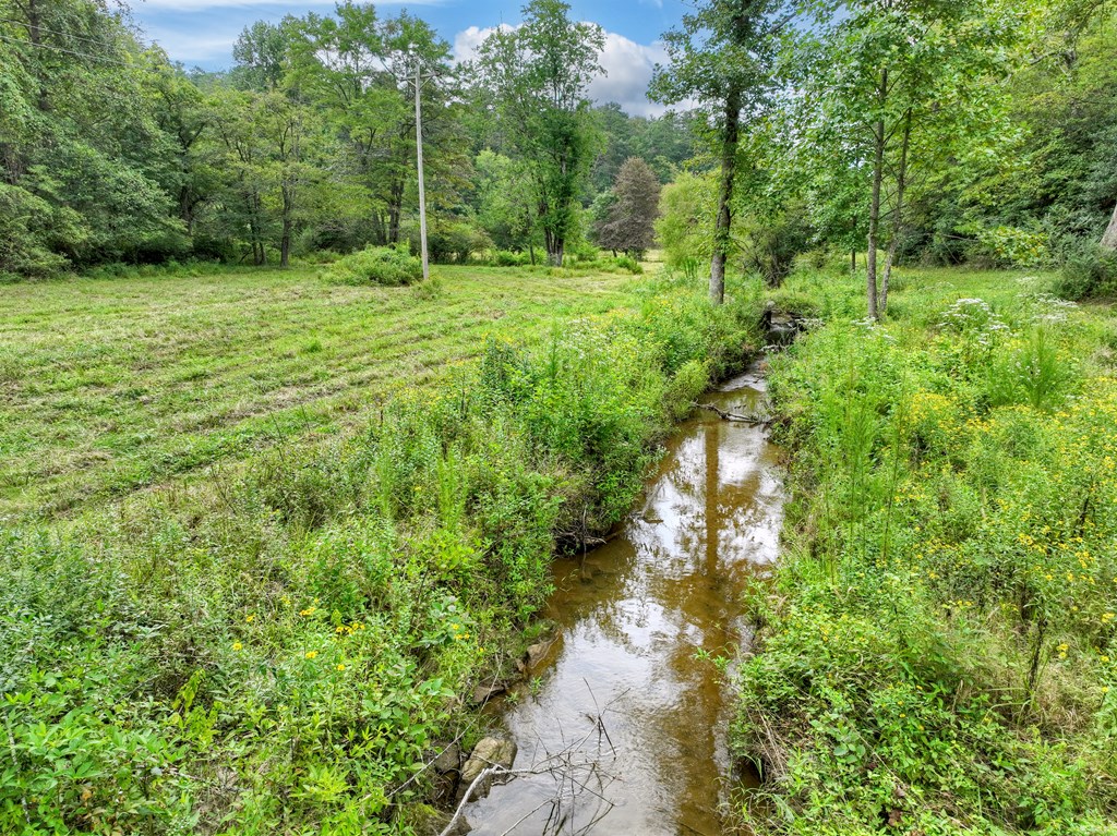 34.51-ac Weaver Creek Road Blue Ridge, GA 30513 - Photo 6 of 26 Gallery Image 6