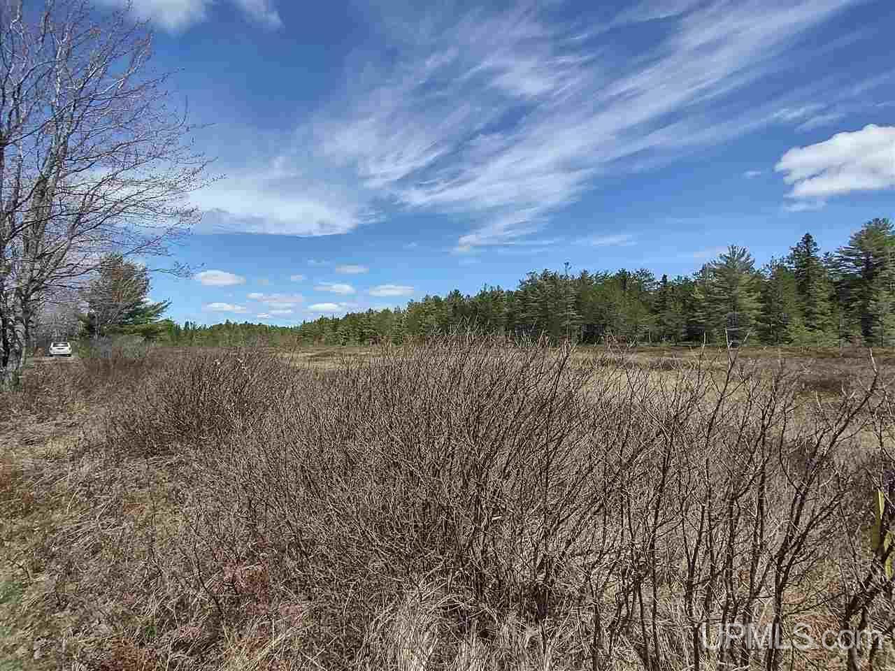 60 Little Rice Lk Road Lake Linden, MI 49945 - Photo 17 of 22