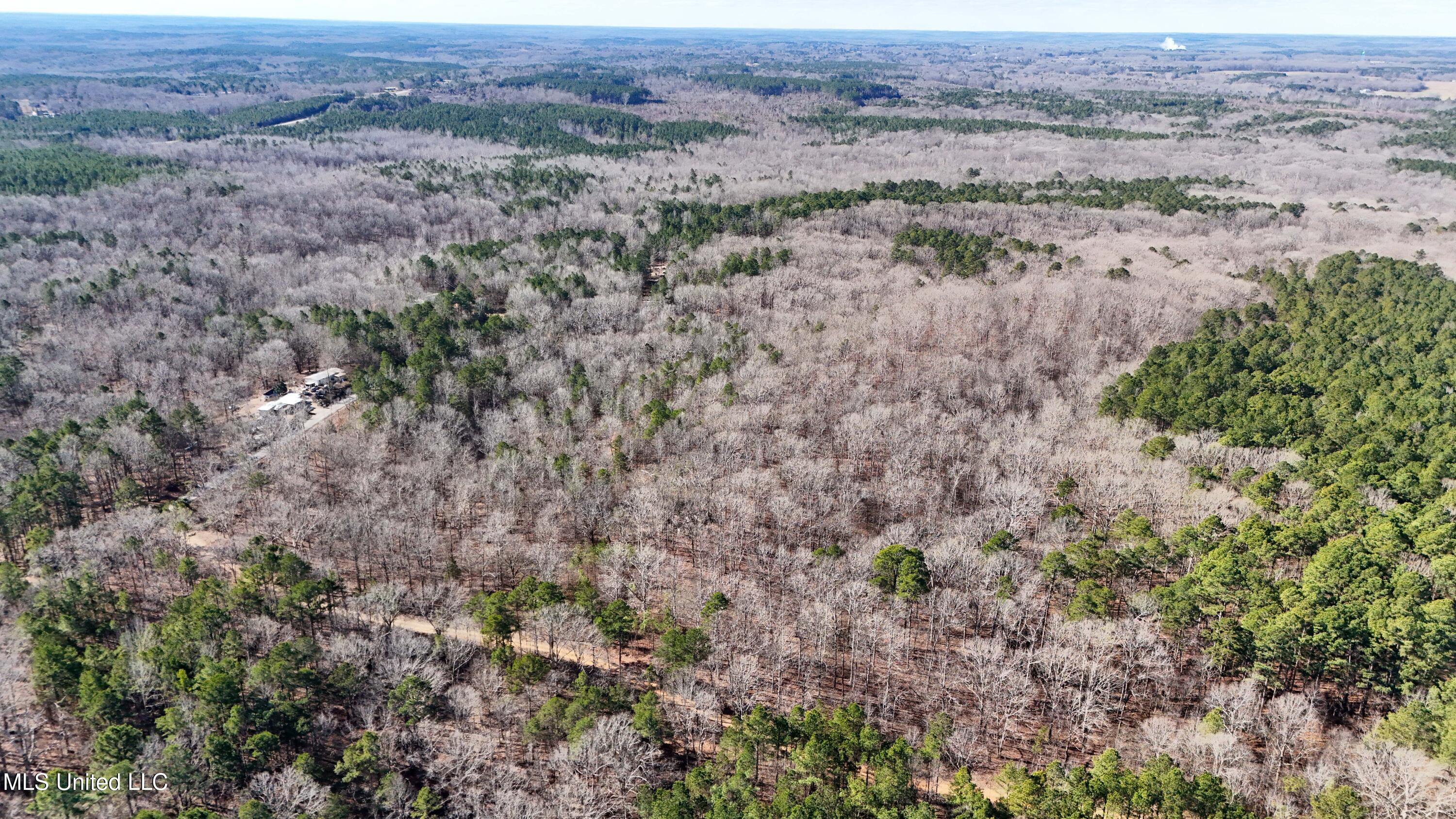 0 Tall Pines Road Ashland, MS 38603 - Photo 4 of 14 Ashland_-14