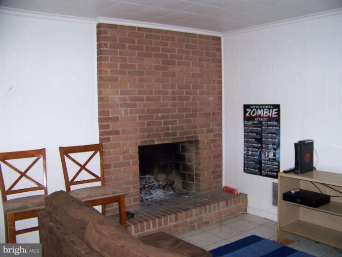 3410 Metzerott Road College Park, MD 20740 - Photo 12 of 13 Interior (General) fireplace #2 (lower level #2)