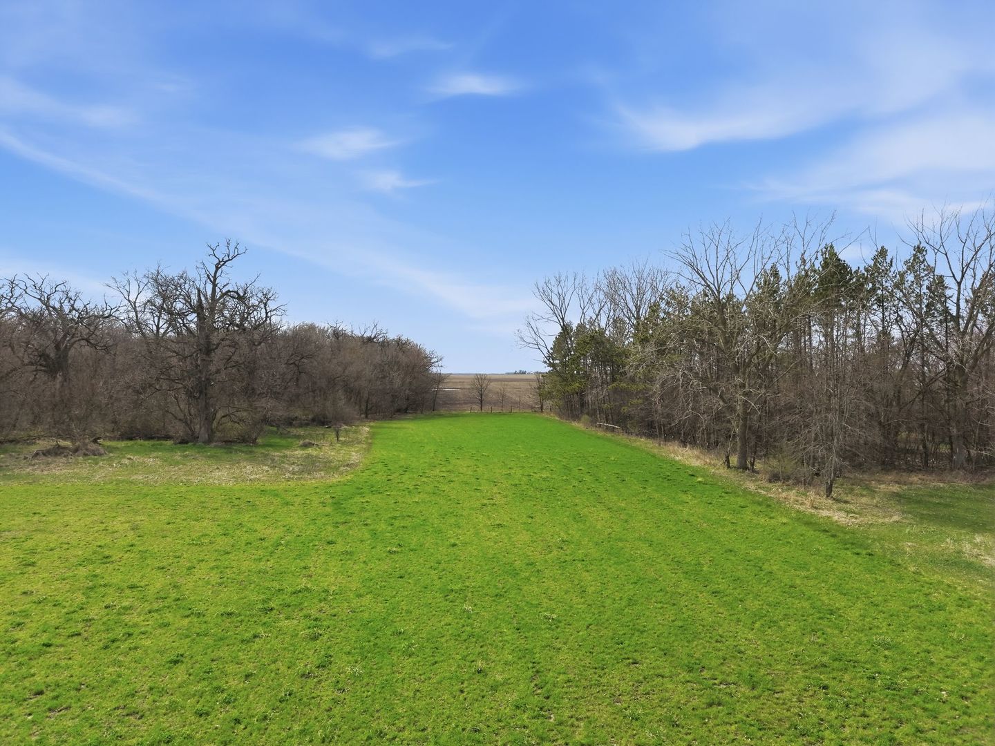 8N316 McGough Road Maple Park, IL 60151 - Photo 46 of 46 a view of a field with an trees