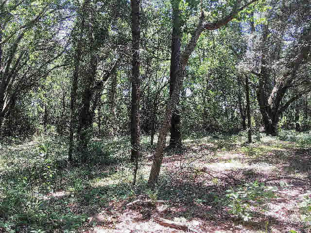 7275 Pinehill Road Daphne, AL 36526 - Photo 6 of 11