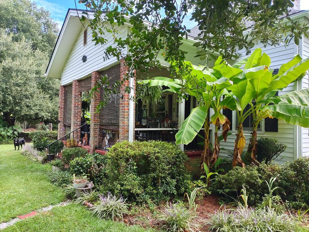 2447 Jack Touchberry Road Summerton, SC 29148 - Photo 4 of 64 jack3