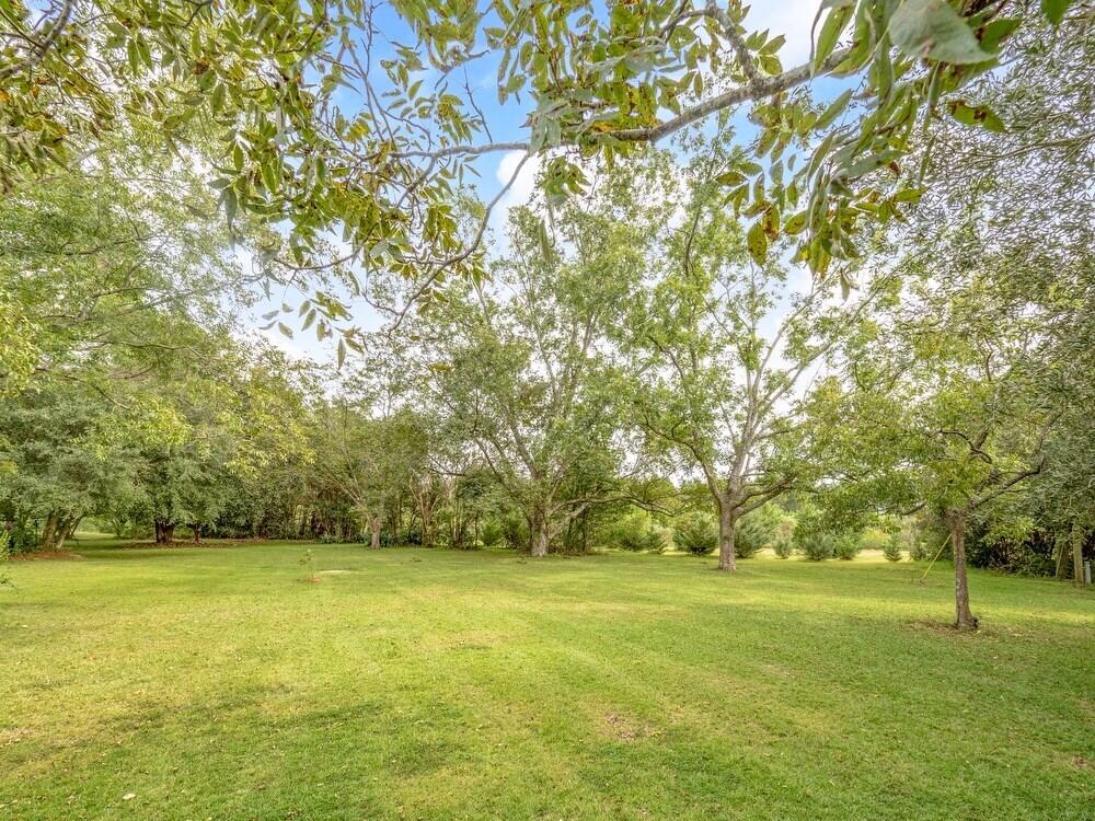 2447 Jack Touchberry Road Summerton, SC 29148 - Photo 46 of 64 jack48
