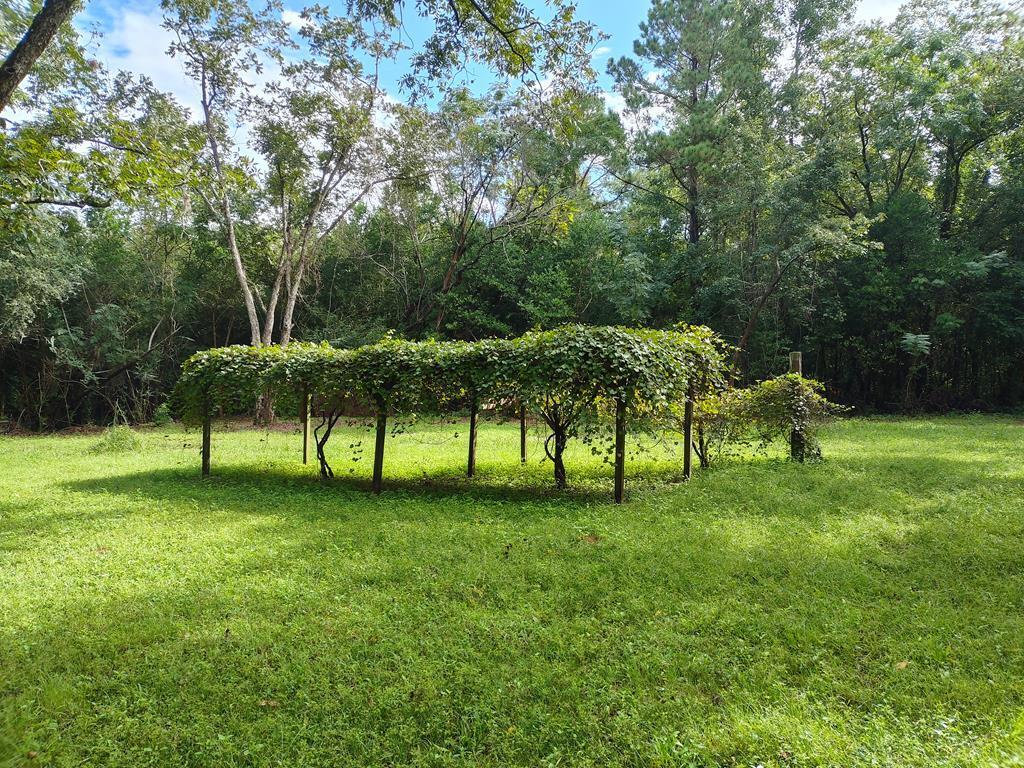 2447 Jack Touchberry Road Summerton, SC 29148 - Photo 50 of 64 jack54